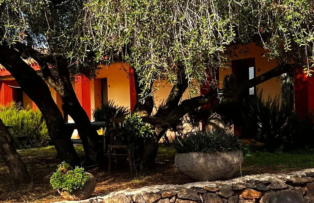 Agriturismo Conca' E Janas-1
